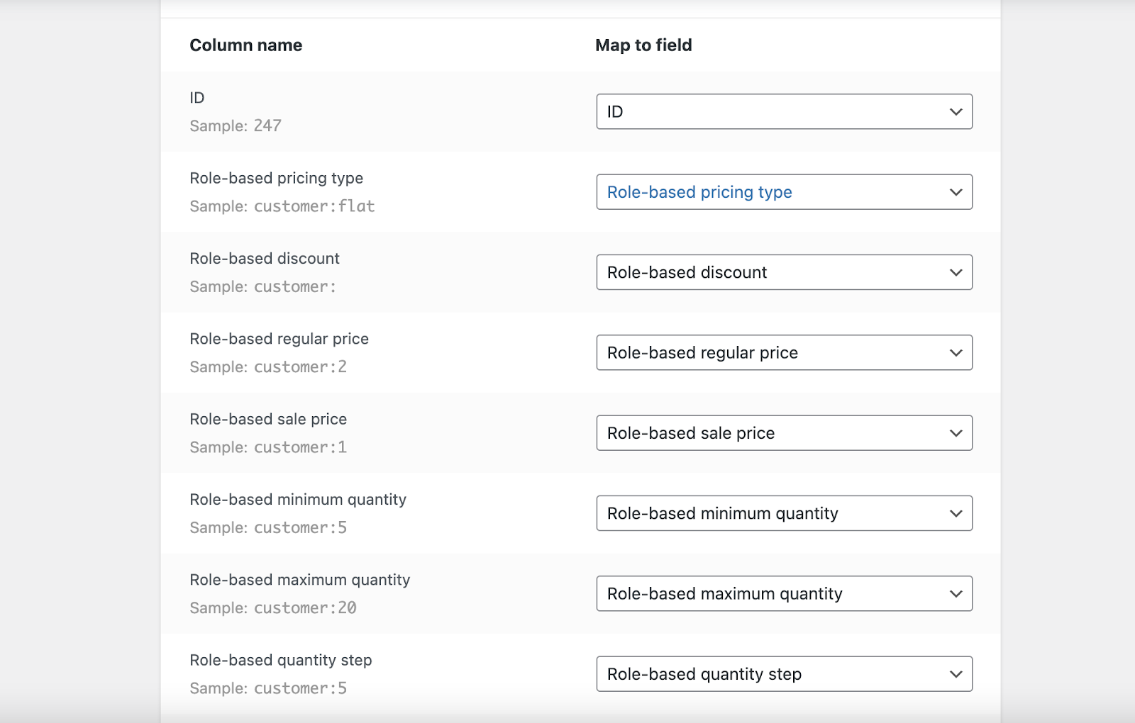 Automatically mapped columns in the WooCommerce importer