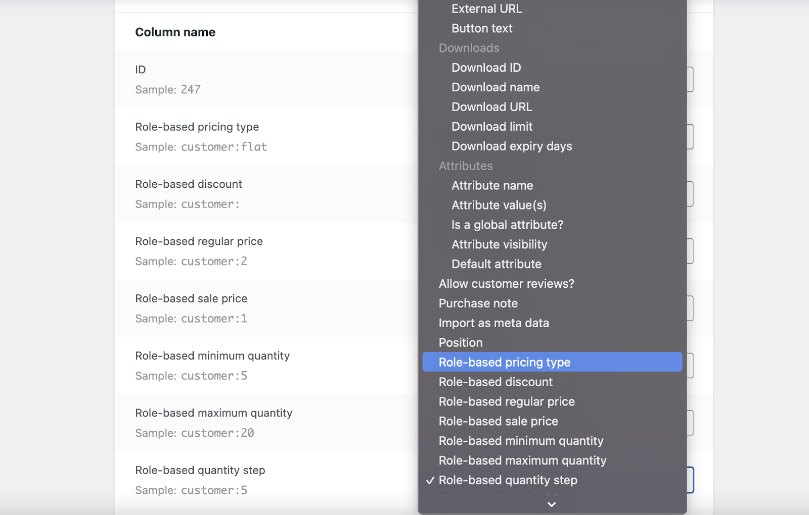 Manually mapping CSV columns to pricing fields
